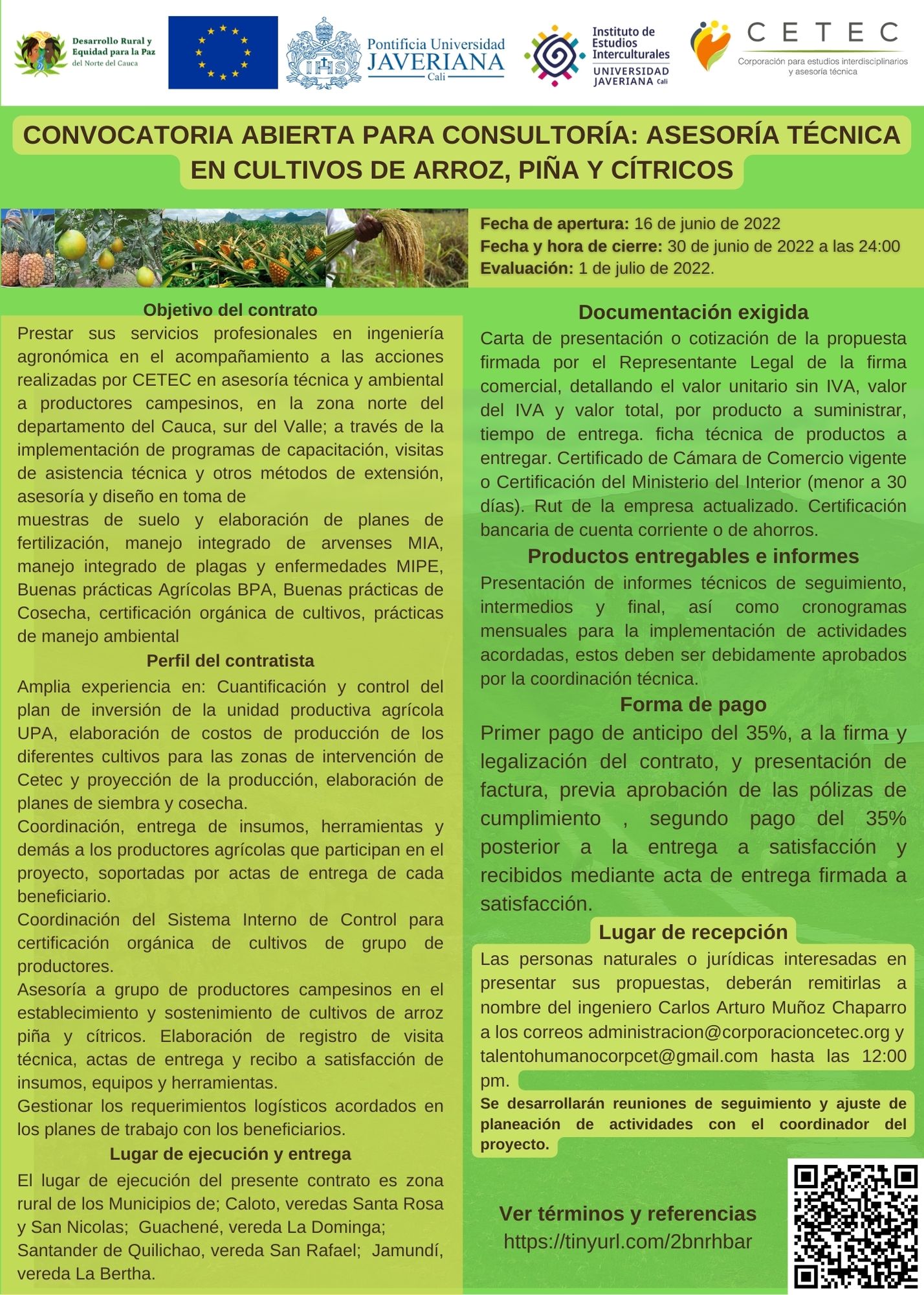 1. Convocatoria_arrozcitricospiña (1)